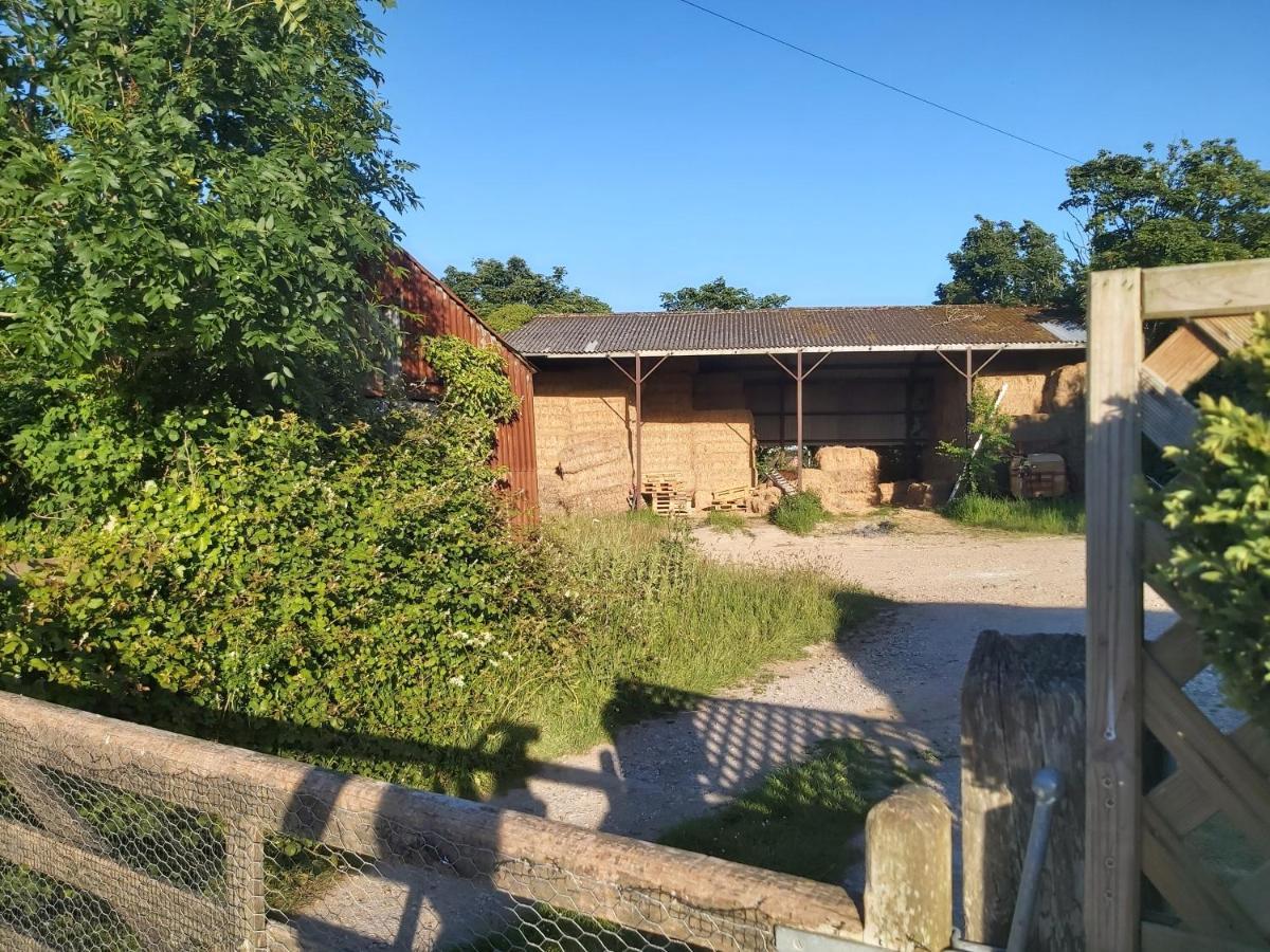 Beautiful Barn Conversion, 3 Bed, Hot Tub, Sauna, Gym, Enclosed Garden Ryde  Exteriér fotografie